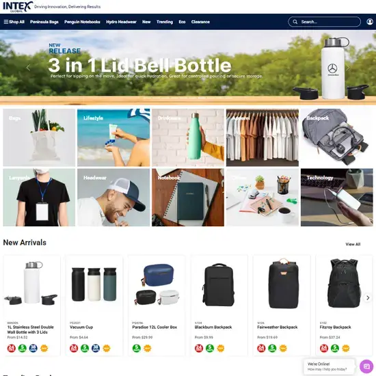 Intex Global Brand Image